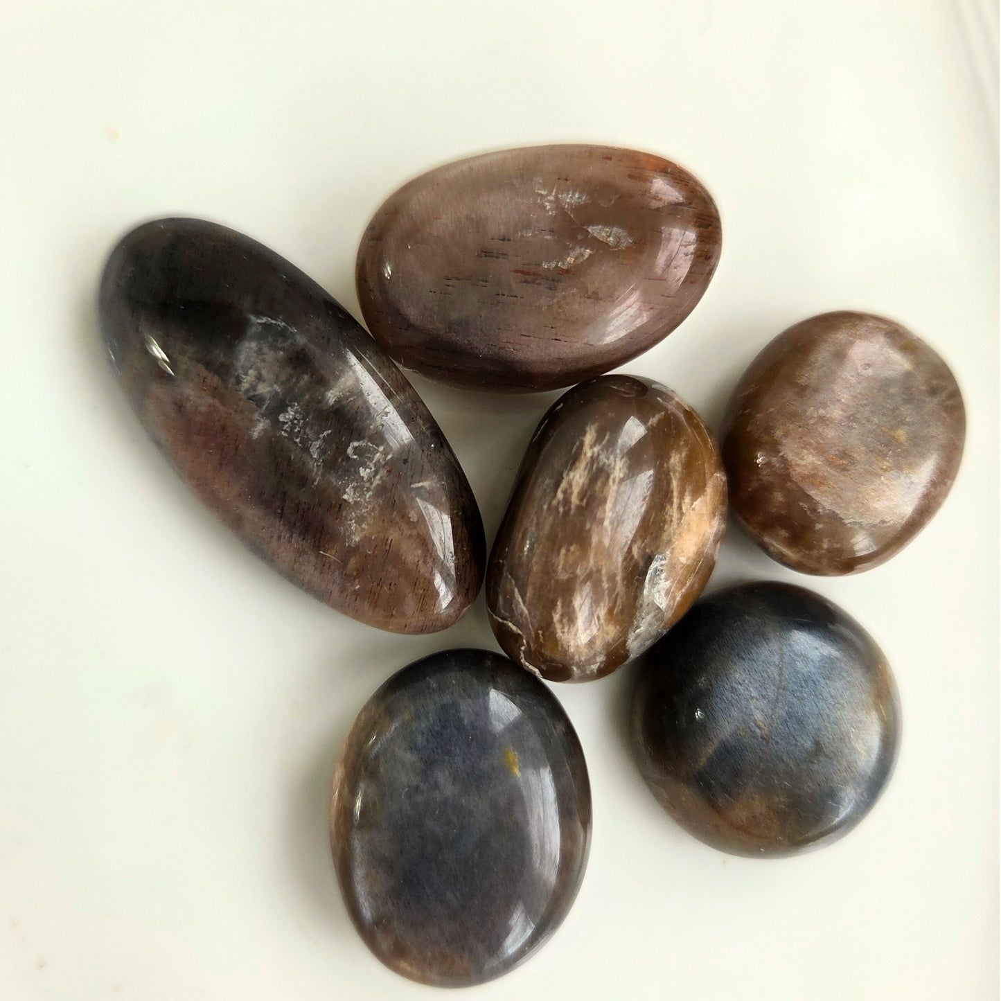 Black Moonstone Palm