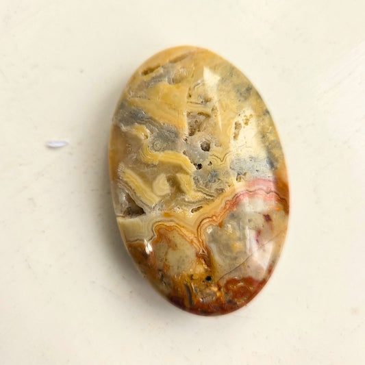 Crazy Lace Agate Palm