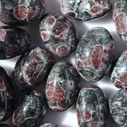 Arfvedsonite with Garnet Tumble