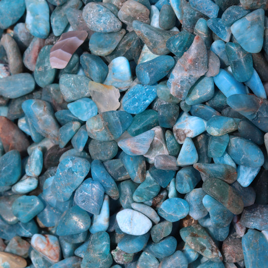 apatite chips, crystals auckland, crystals new zealand, blue crystals, crystals australlia, crystal chips nz 