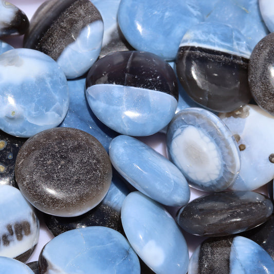 Blue Opal Mini Palm