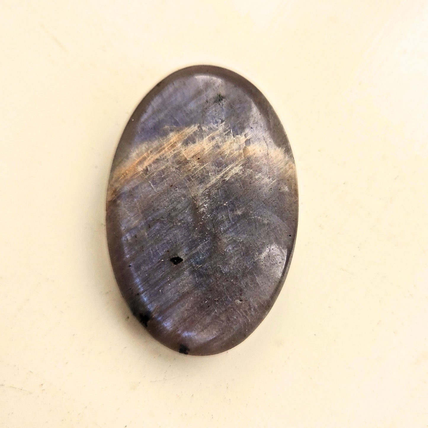 Moonstone Palm