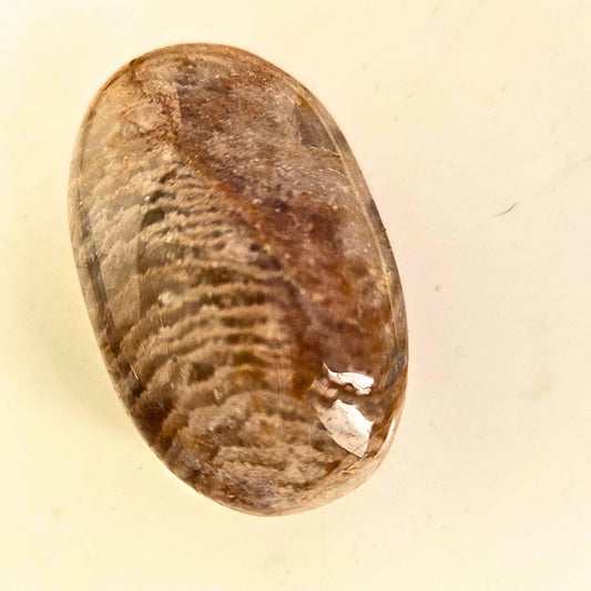 Thousand Layers Palm 2