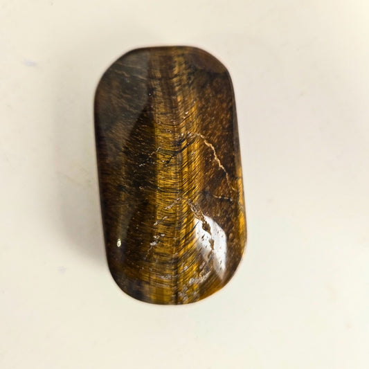 Tiger Eye Palm