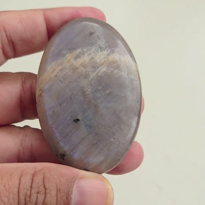 Moonstone Palm